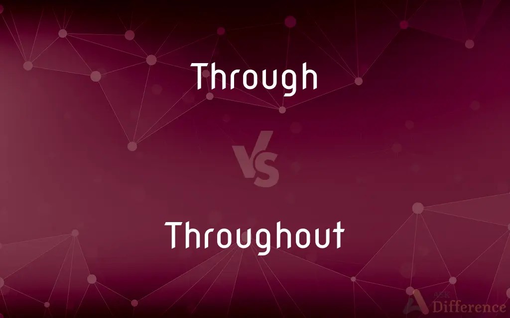 Through vs. Throughout — What’s the Difference?