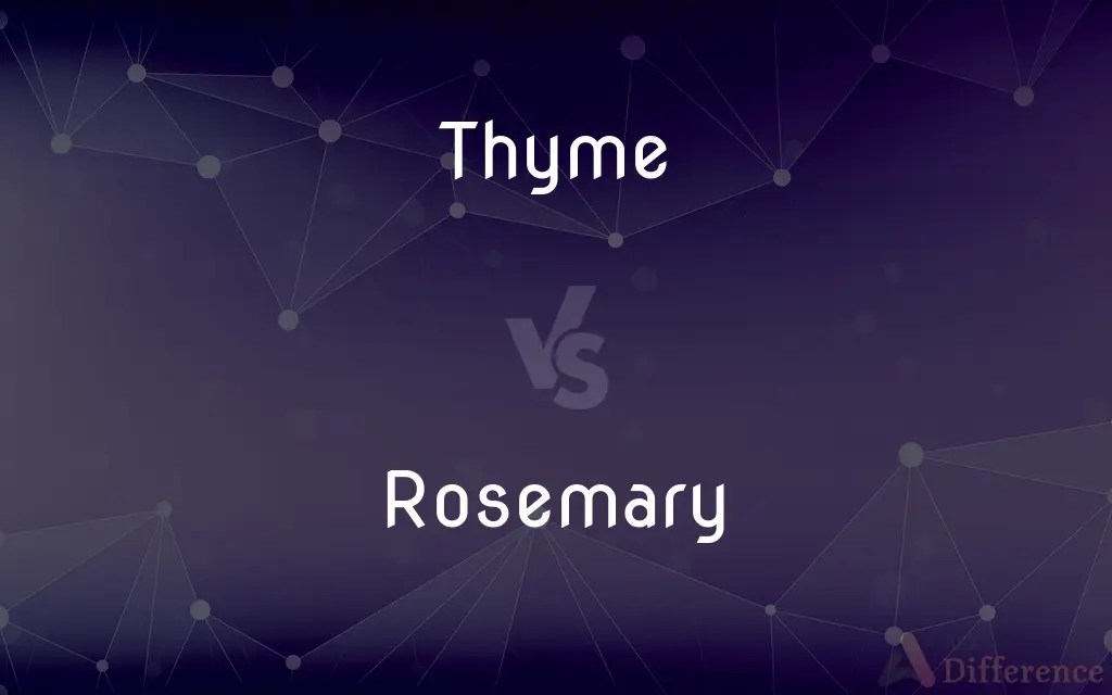Thyme vs. Rosemary — What’s the Difference?