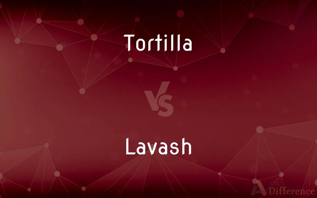 Tortilla vs. Lavash — What’s the Difference?