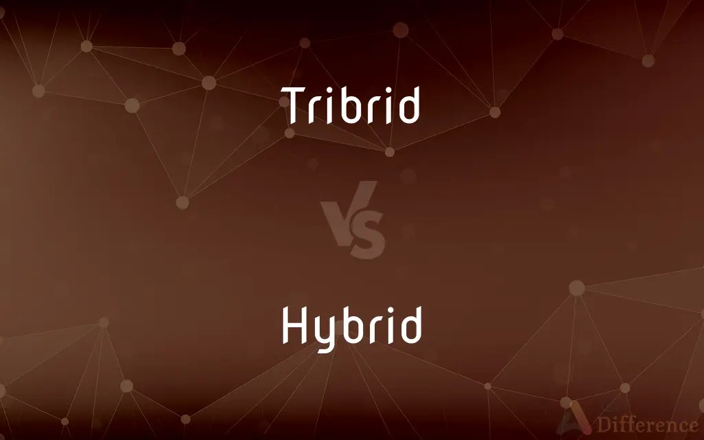 Tribrid vs. Hybrid — What’s the Difference?
