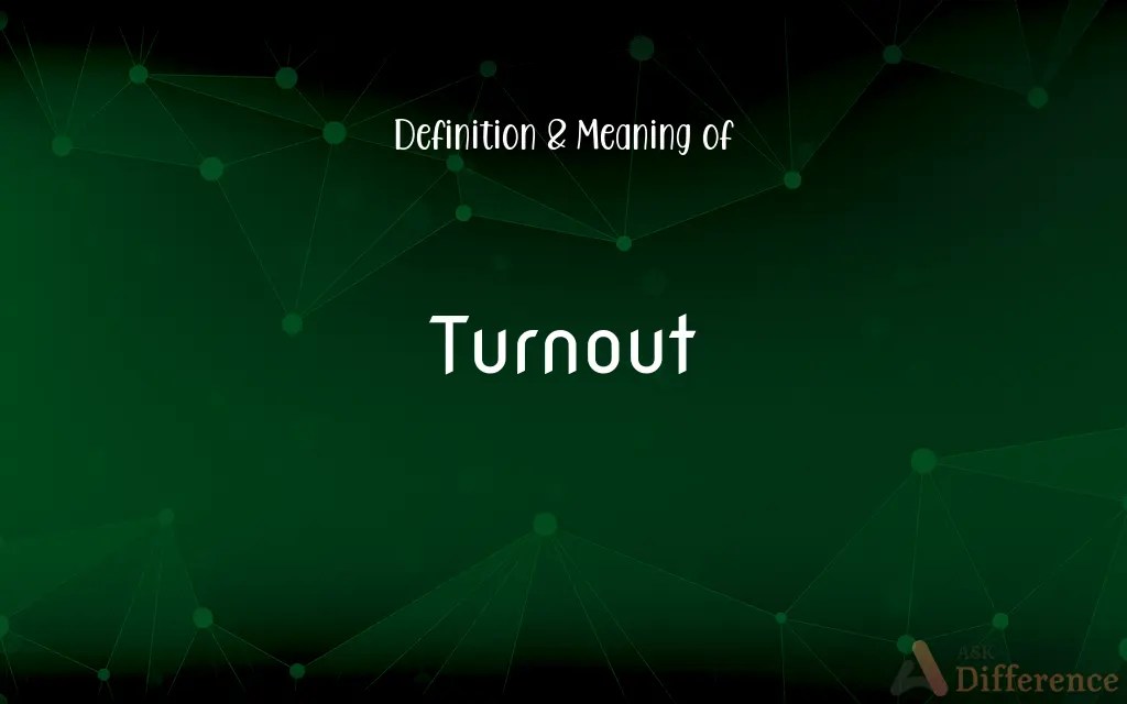 Turnout Definition and Meaning