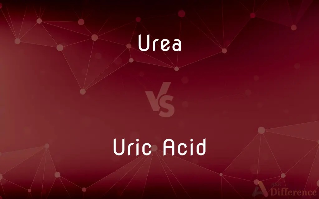 Urea vs. Uric Acid — What’s the Difference?