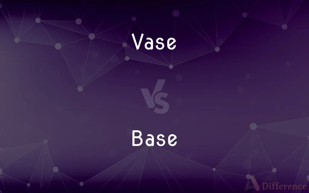 Vase vs. Base — What’s the Difference?