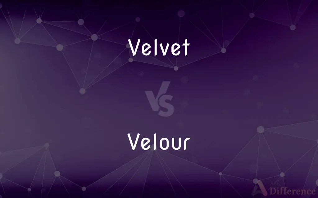 Velvet vs. Velour — What’s the Difference?