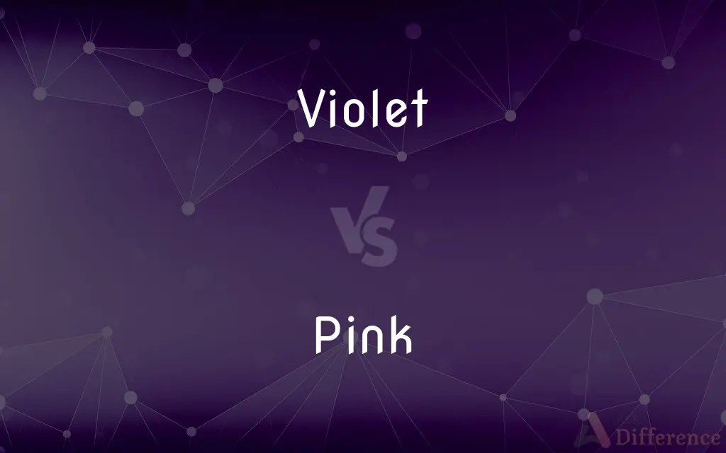 Violet vs. Pink — What’s the Difference?