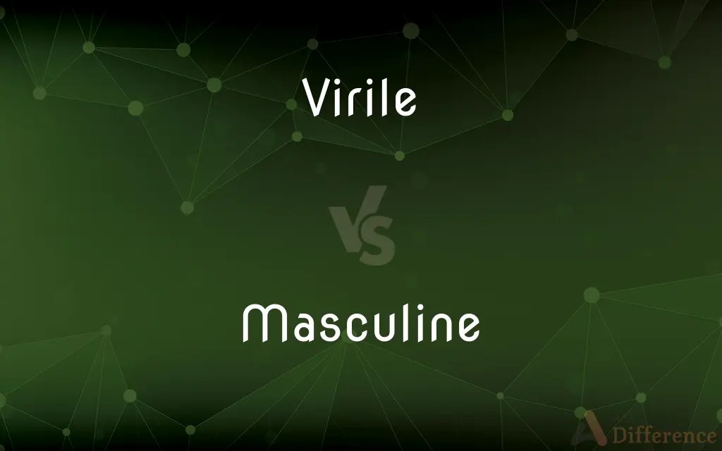 Virile vs. Masculine — What’s the Difference?