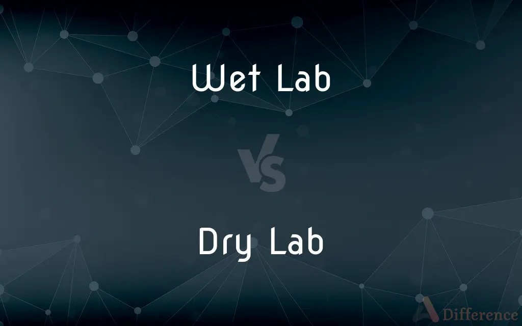 Wet Lab vs. Dry Lab — What’s the Difference?