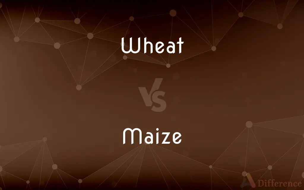 Wheat vs. Maize — What’s the Difference?