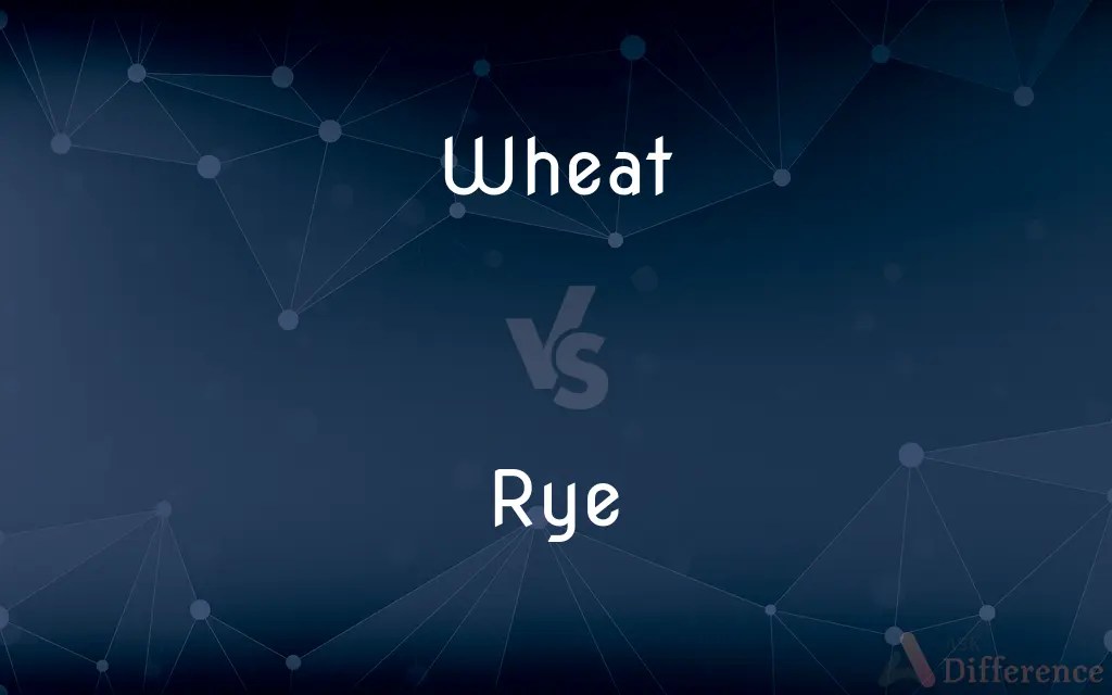 Wheat vs. Rye — What’s the Difference?
