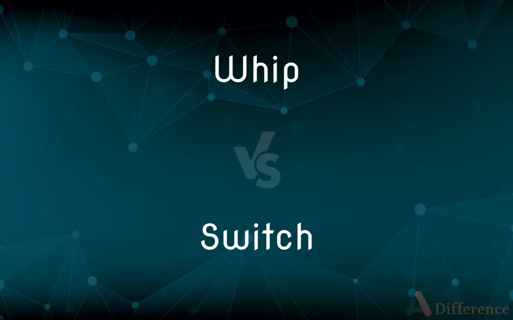 Whip vs. Switch — What’s the Difference?
