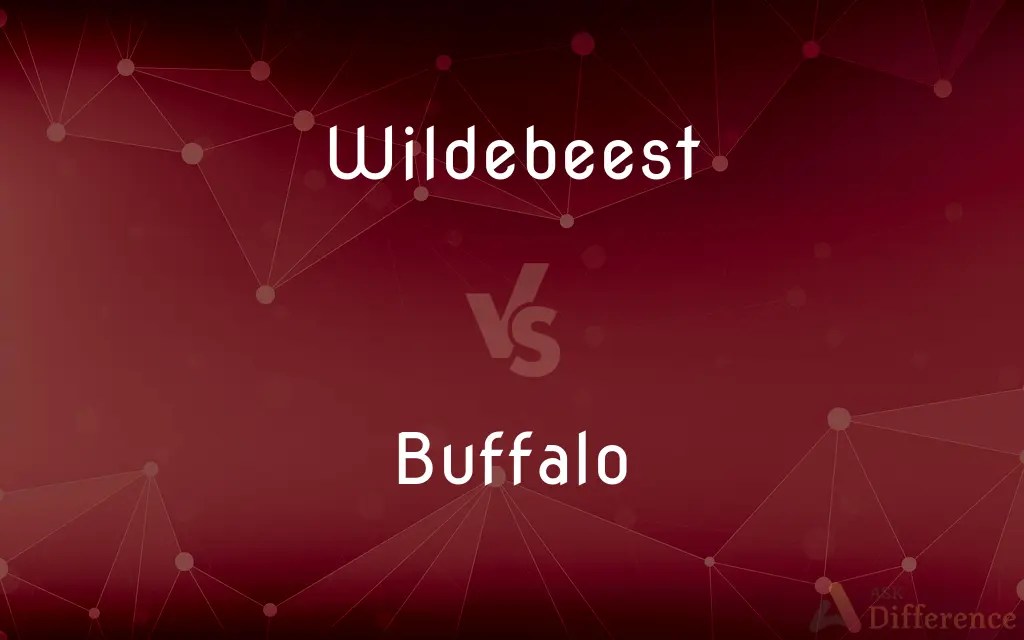 Wildebeest vs. Buffalo — What’s the Difference?
