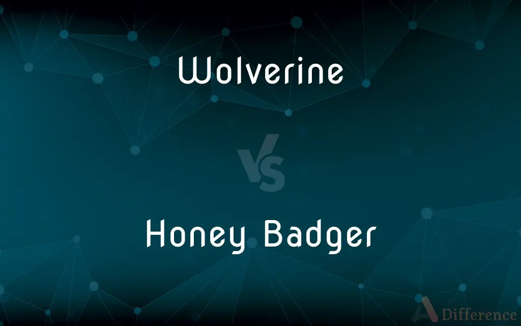 Wolverine vs. Honey Badger — What’s the Difference?