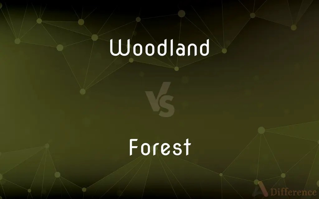 Woodland vs. Forest — What’s the Difference?