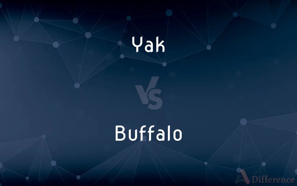 Yak vs. Buffalo — What’s the Difference?