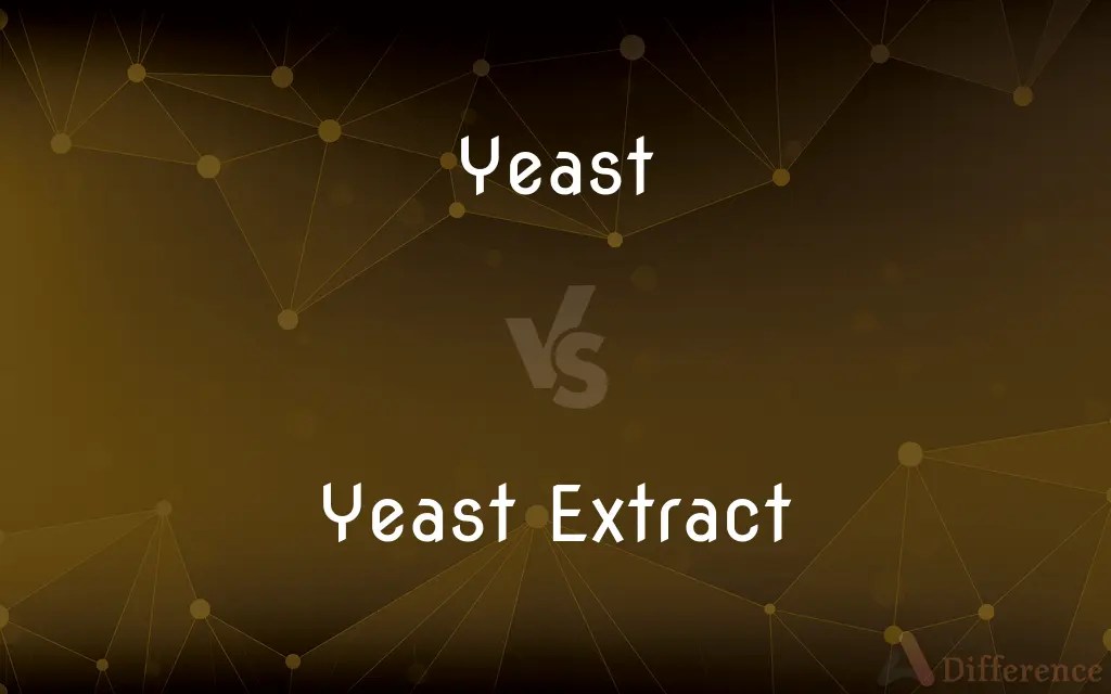 Yeast vs. Yeast Extract — What’s the Difference?
