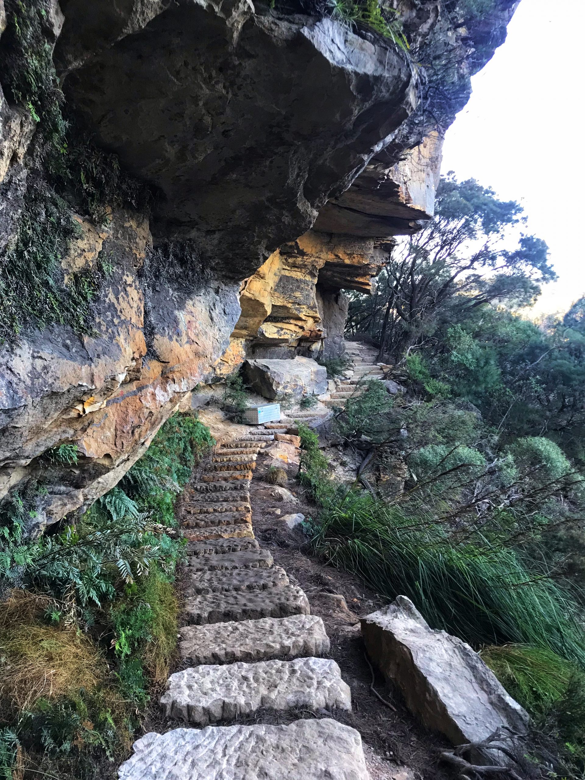 Undercliff Track, Wentworth Falls, one of the best walks in the Blue