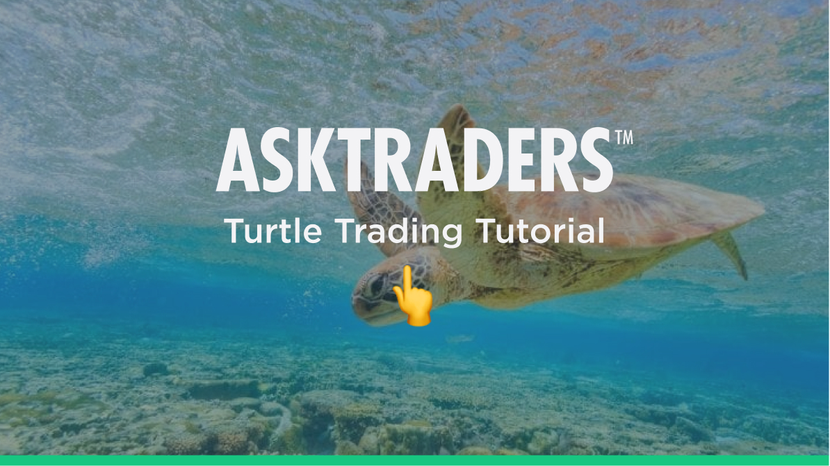 Turtle Trading Strategy (2024 Guide)