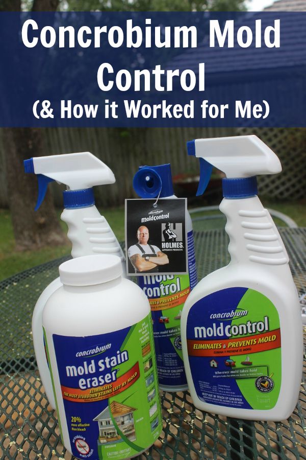 Dealing with Mold in My Enclosed Porch (Ugh.) Concrobium Mold Control