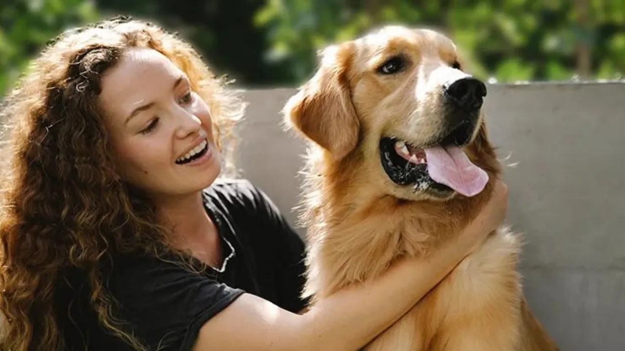 How to Potty Train a Puppy Puppy Potty Training AsomLive