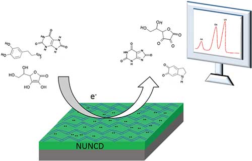 American Scientific Publishers