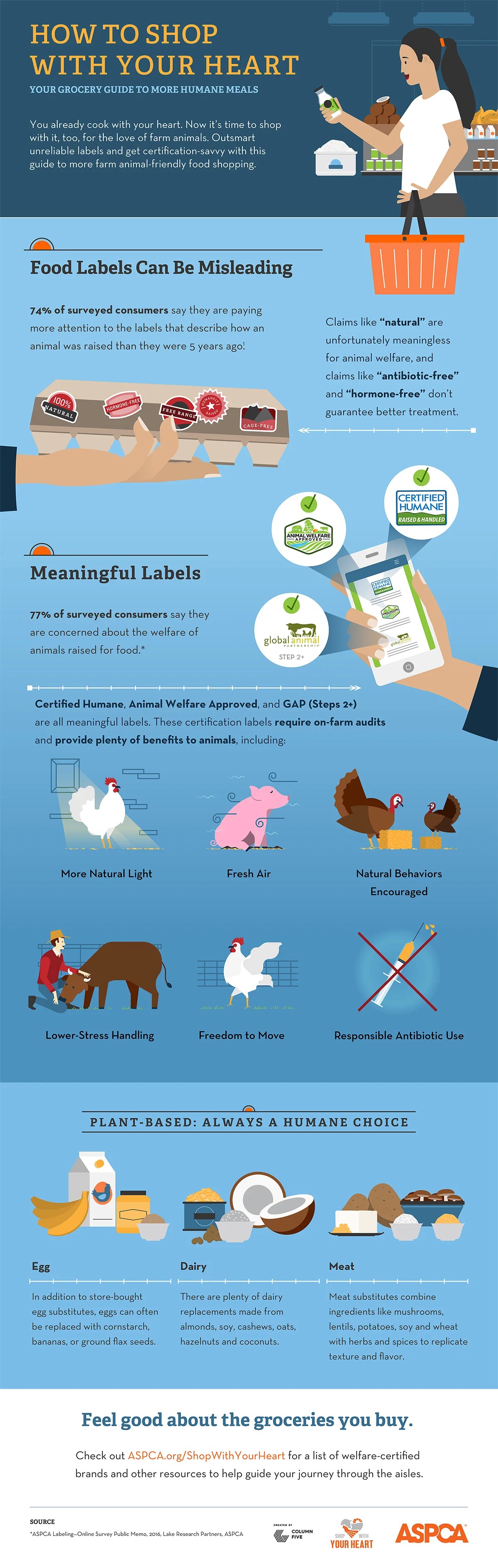 75 Beautiful, Creative, and Brilliant Infographic Design