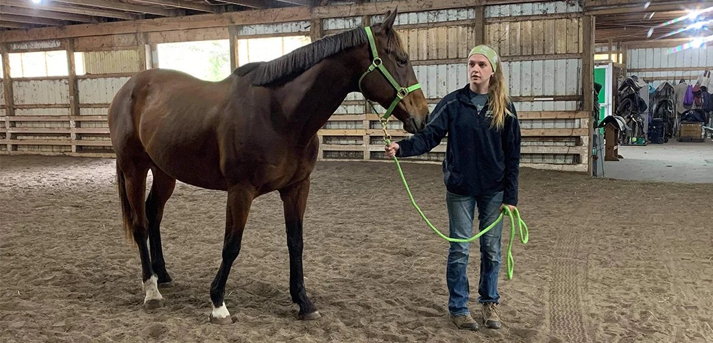 Helping Steady Find A Home Through The Aspca Horse Adoption Express | Aspca
