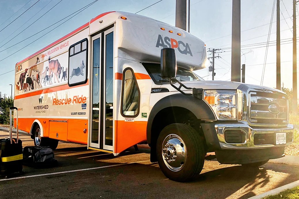 How Animal Relocation Programs Save Lives ASPCA