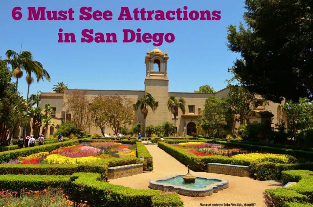6 Must See Attractions in San Diego A Spectacled Owl