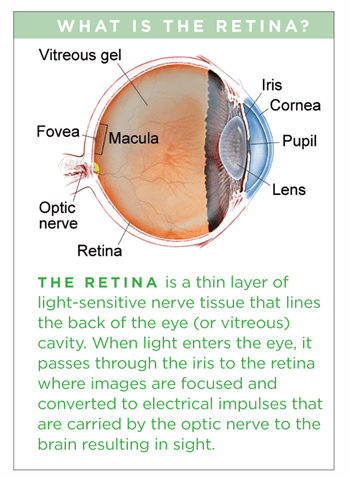 Eye Floaters Symptoms And Causes Mayo Clinic