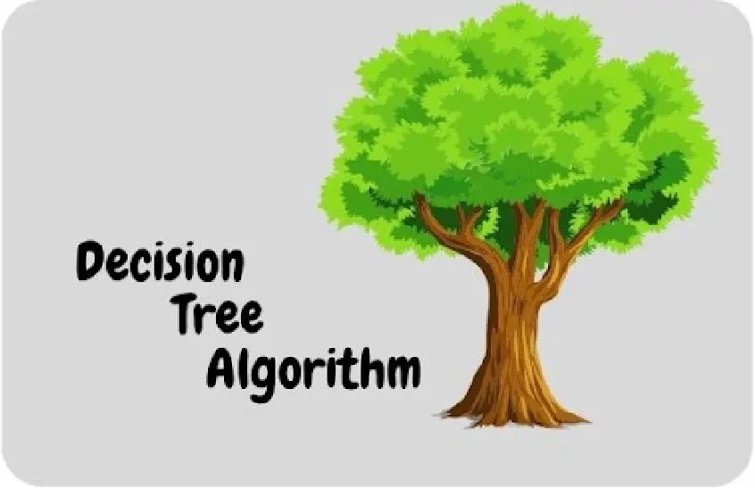 Random Forest Vs. Decision Tree In Machine Learning Which Is Best