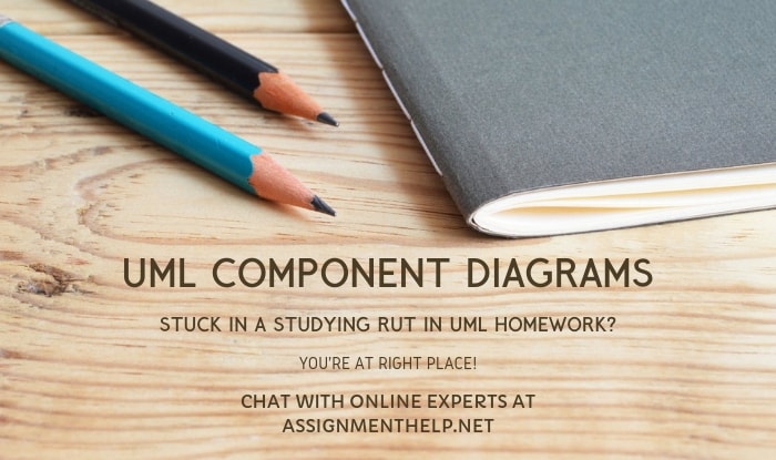 UML Component Diagrams Assignment Help | UML Assignment Help | UML