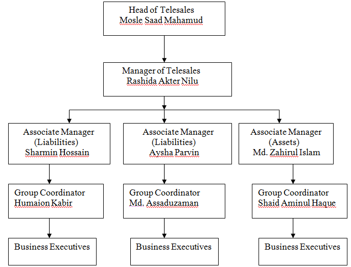 Report on Telesales Department Activities of Brac Bank