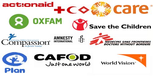 Nongovernmental Organizations Assignment Point
