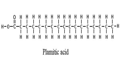 Palmitic Acid Assignment Point