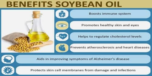 Soybean Oil - Assignment Point