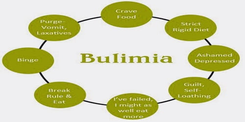 Bulimia Nervosa (Causes, Risk factors, and Complications) Assignment