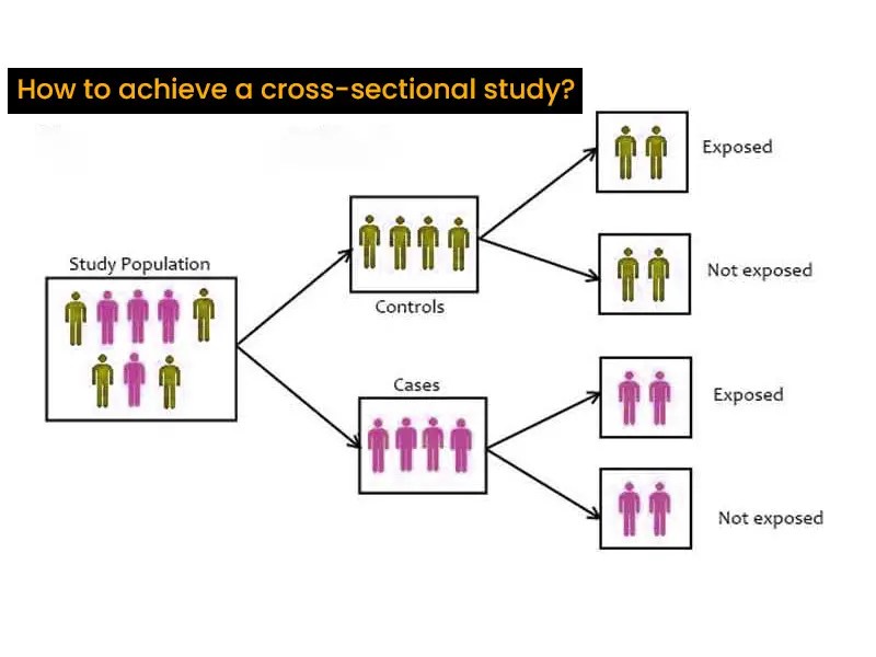 Importance of Cross Sectional Data in Surveys A Comprehensive Guide