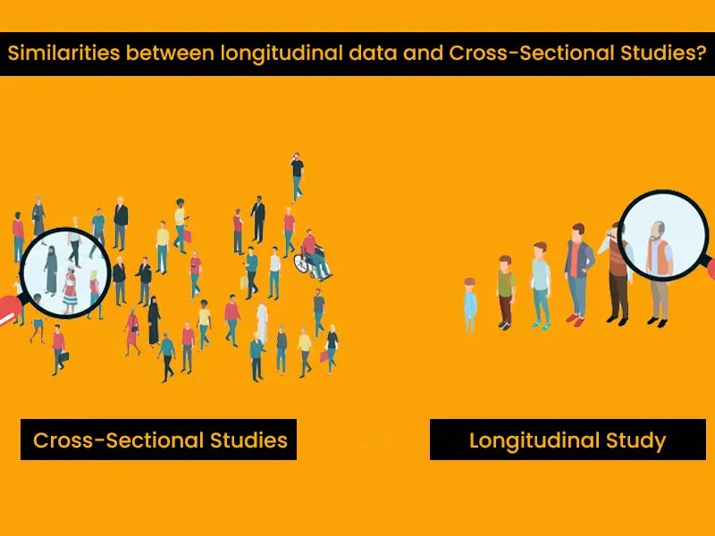 Importance of Cross Sectional Data in Surveys A Comprehensive Guide