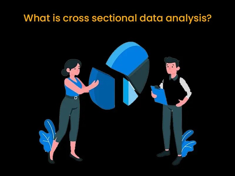 Importance of Cross Sectional Data in Surveys A Comprehensive Guide