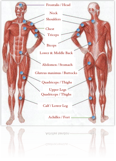 [DIAGRAM] Female Body Diagram For Pain - MYDIAGRAM.ONLINE