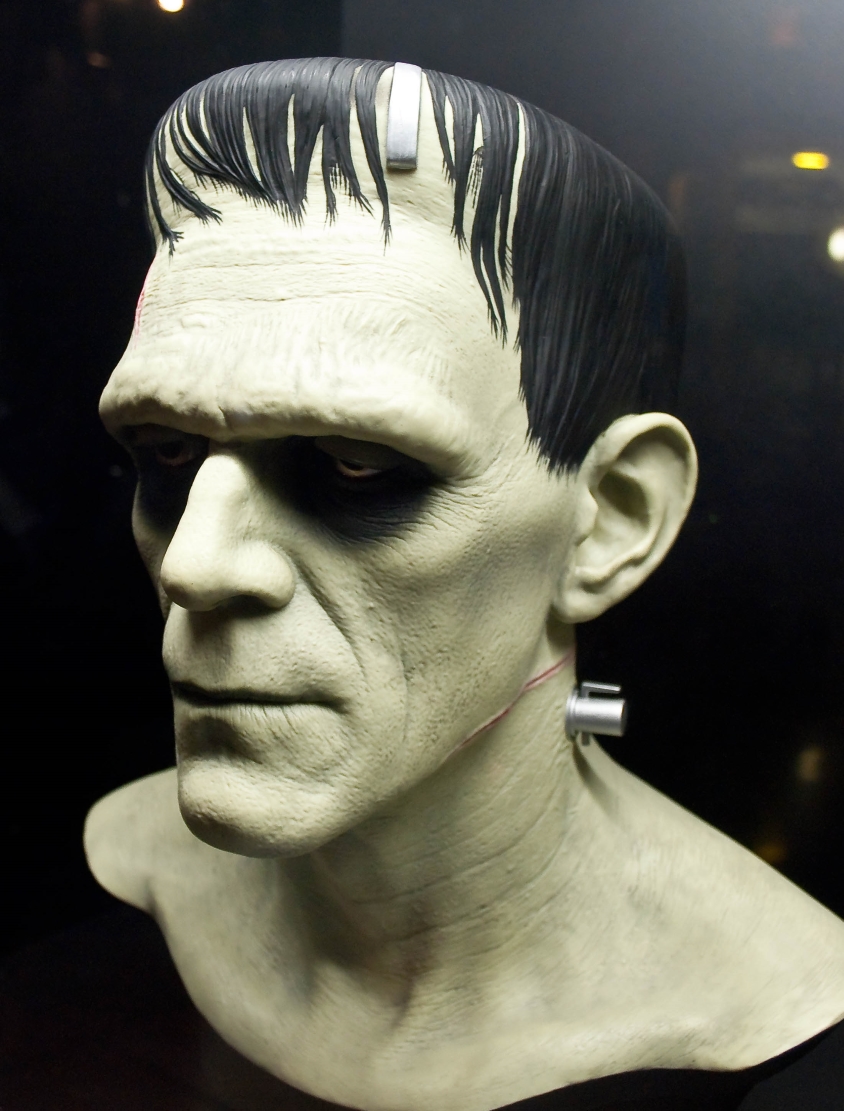 Frankenstein by Mary Shelley Summary, Themes & Analysis Vi…