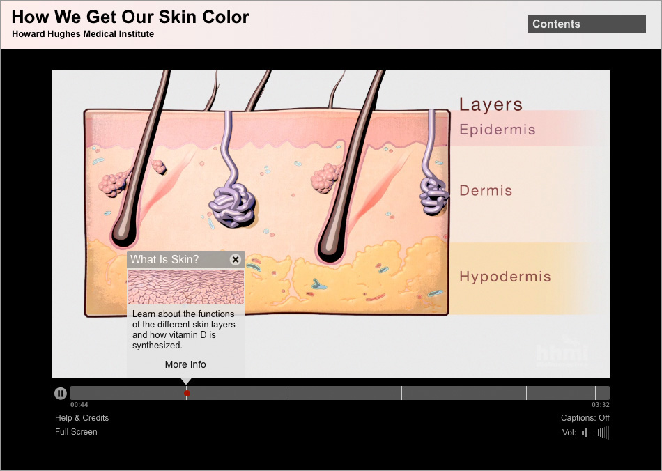 How We Get Our Skin Color Interactive – Astronaut 3 Media Group