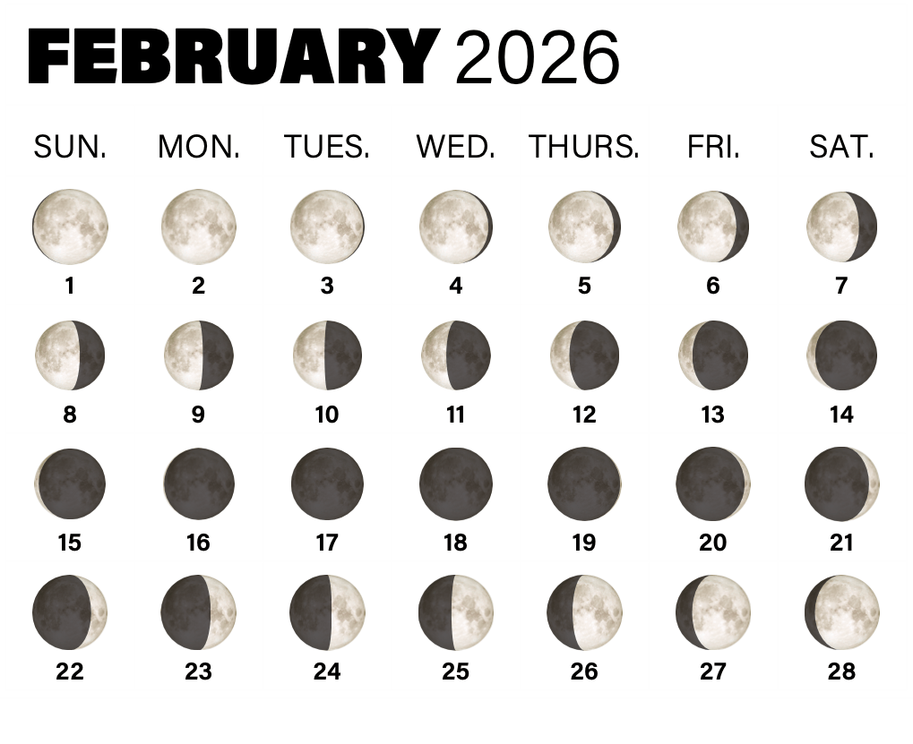 February 2026 What's in the sky this month