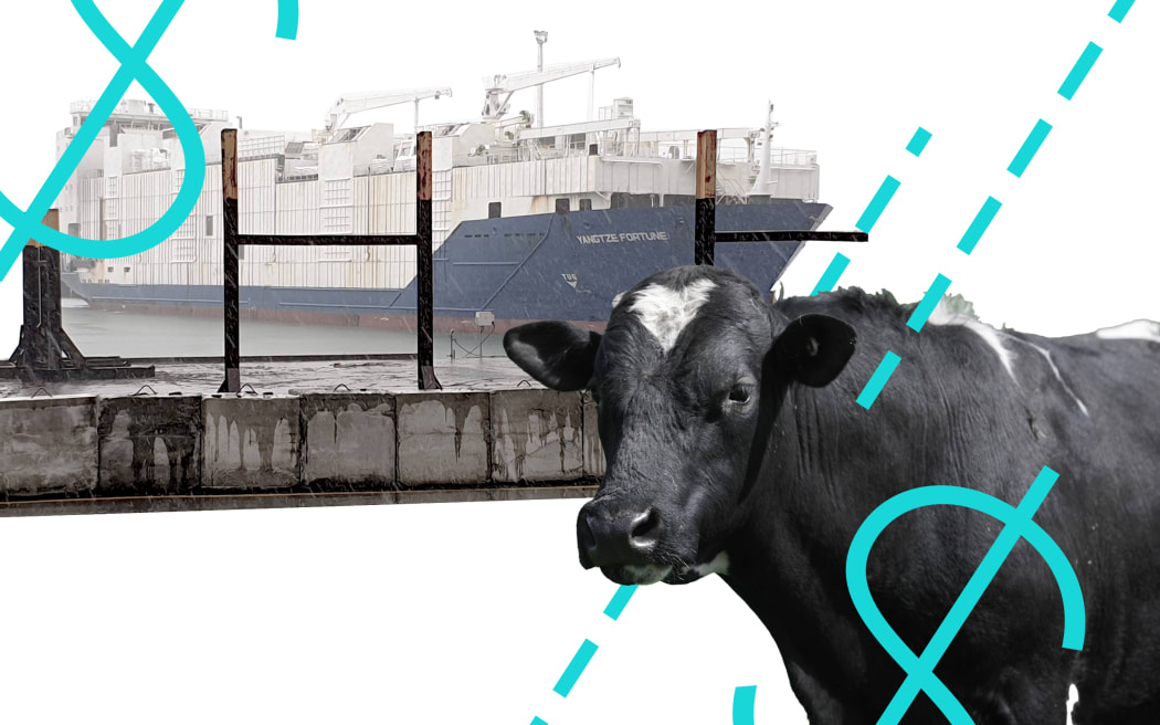 The 1m PR and lobbying campaign to overturn livestock export ban