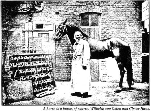 Clever Hans And His Effect On Psychology