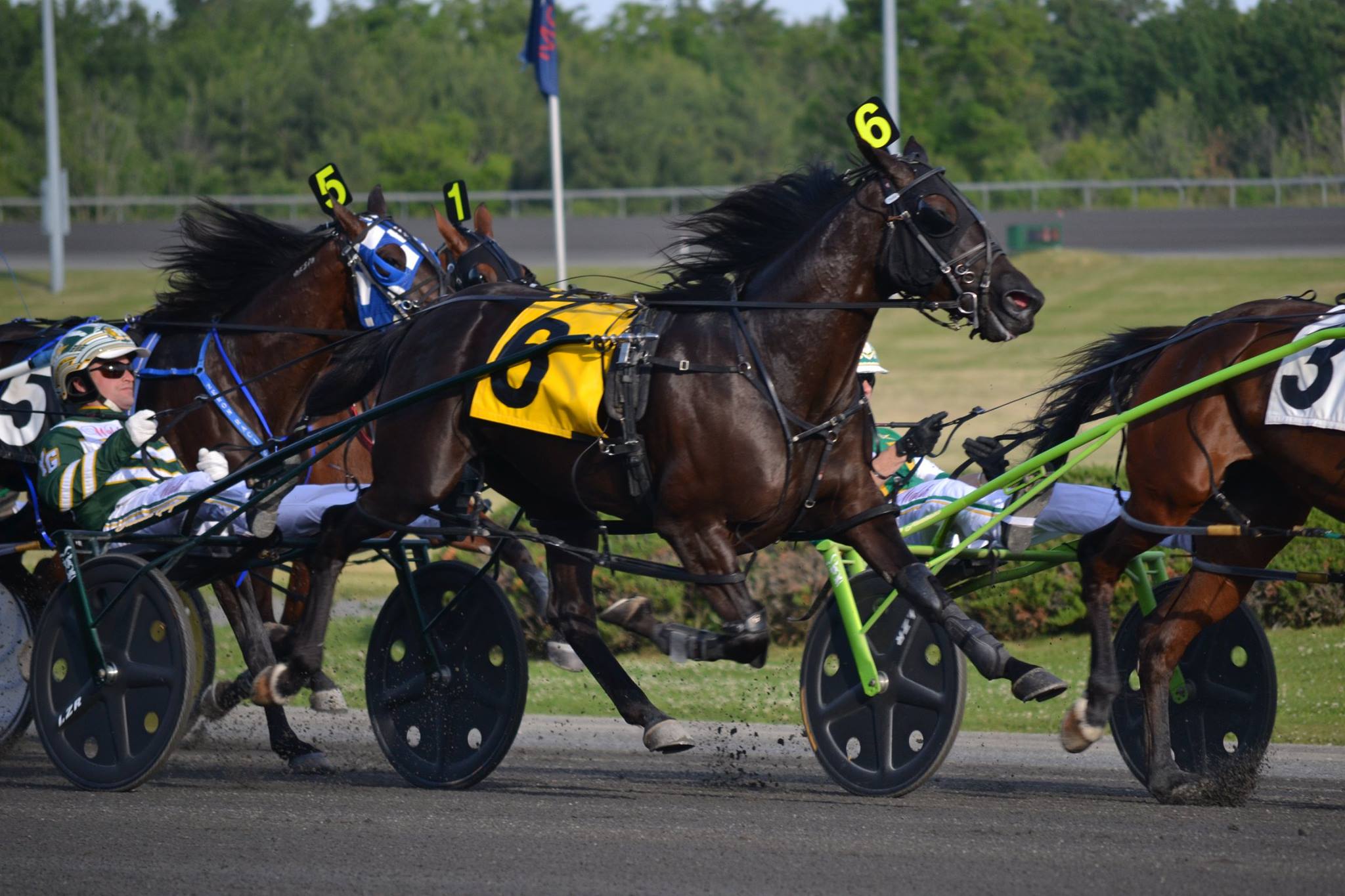 Woodbine Mohawk ParkFriday Feb 26th Picks