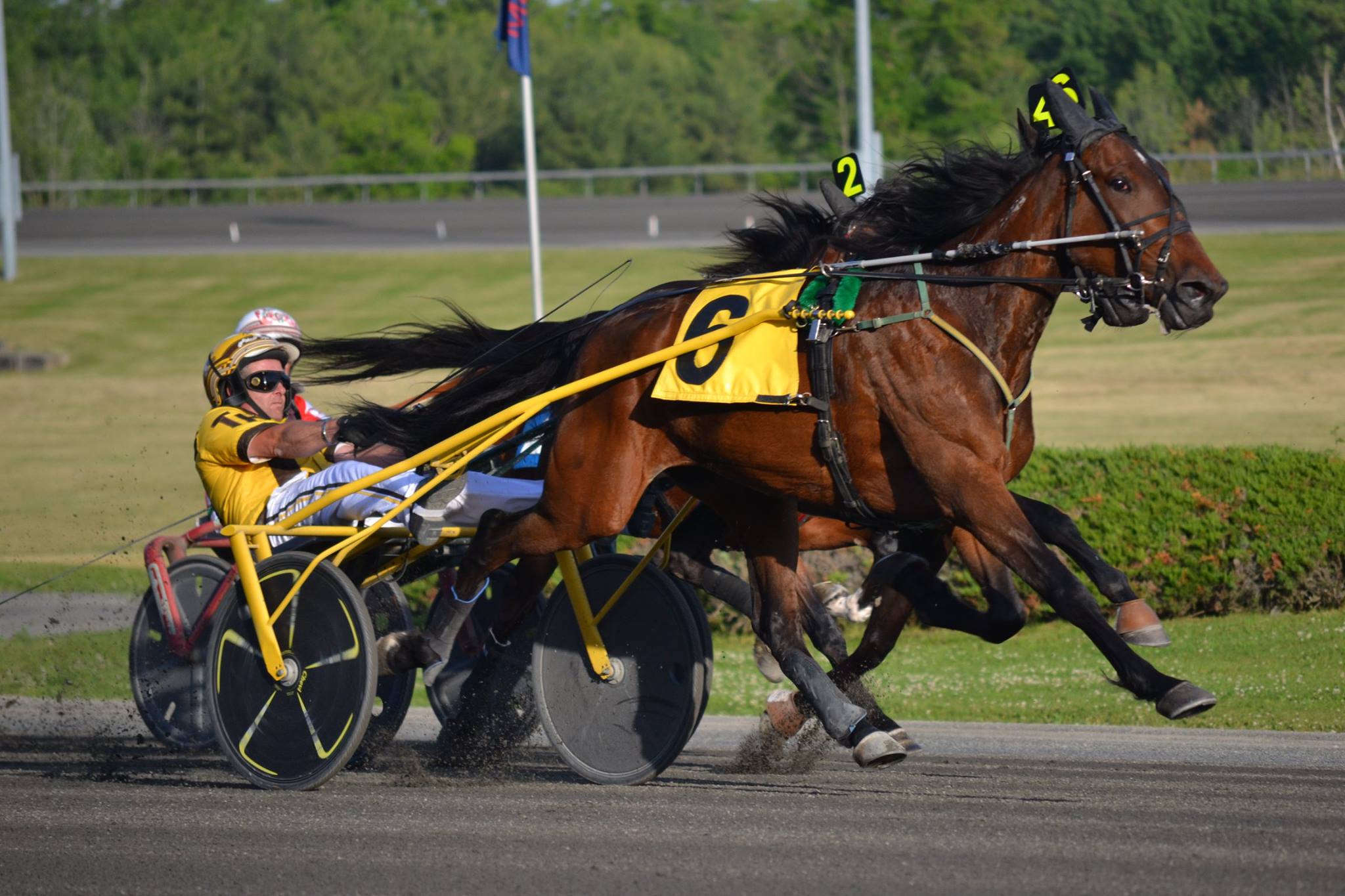 MIKE’S CONTENDERS WoodbineMohawk Park Racing Analysis Saturday Feb 5th