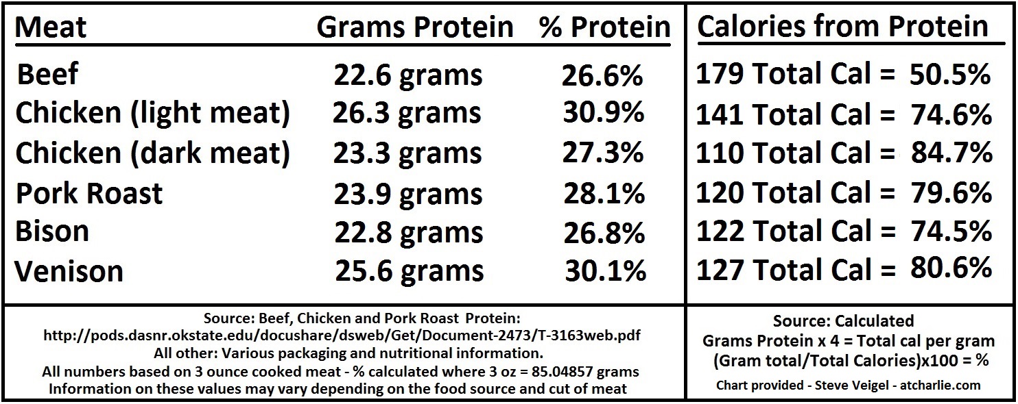 How Much Protein Should My Dog Have