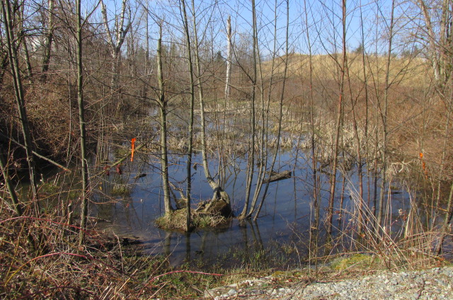 RAPR Riparian Areas Protection Regulation Assessments AllTerrain