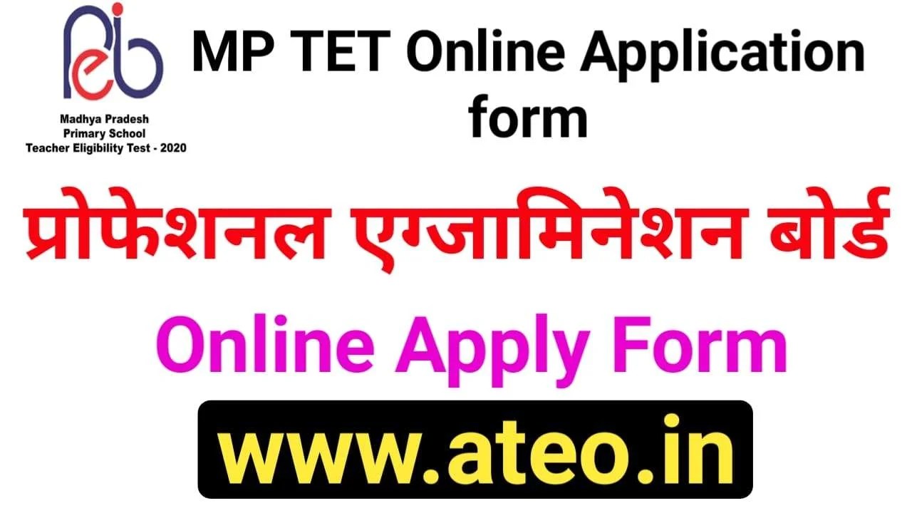 MPPEB TET Recruitment 2021 Apply Online Form